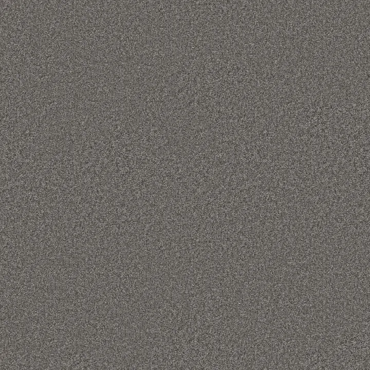 Shaw Floors You Got This II — Ashes · 5E561-00501 — flooring selection with LeviArs Design & Remodeling
