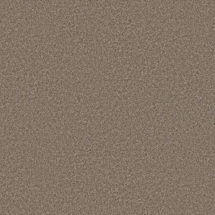 Shaw Floors You Got This III — Cameo · 5E562-00113 — flooring selection with LeviArs Design & Remodeling