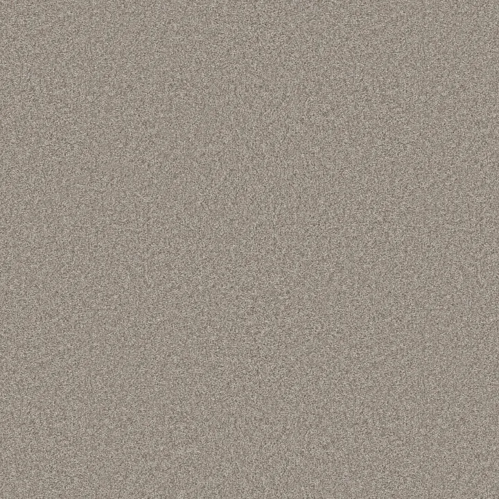 Shaw Floors You Got This III — Chic Greige · 5E562-00111 — flooring selection with LeviArs Design & Remodeling