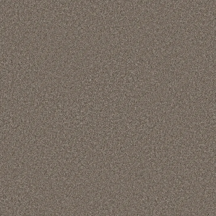 Shaw Floors You Got This II — Cobblestone · 5E561-00750 — flooring selection with LeviArs Design & Remodeling