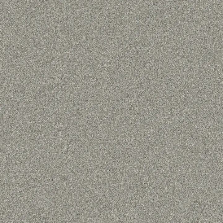 Shaw Floors You Got This II — Frosted Leaf · 5E561-00353 — flooring selection with LeviArs Design & Remodeling