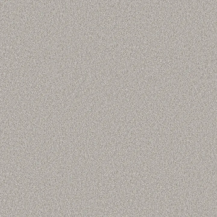 Shaw Floors You Got This III — Frozen · 5E562-00107 — flooring selection with LeviArs Design & Remodeling