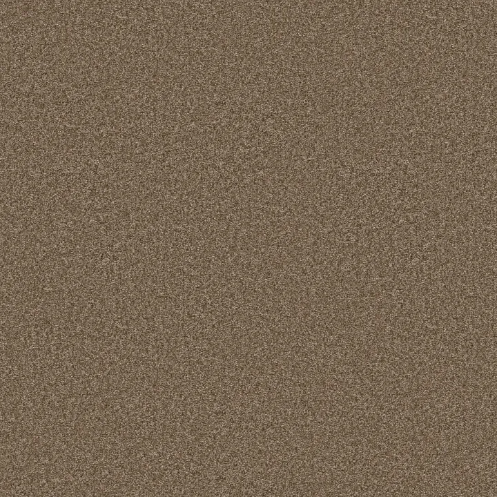 Shaw Floors You Got This II — Mission Ridge · 5E561-00705 — flooring selection with LeviArs Design & Remodeling
