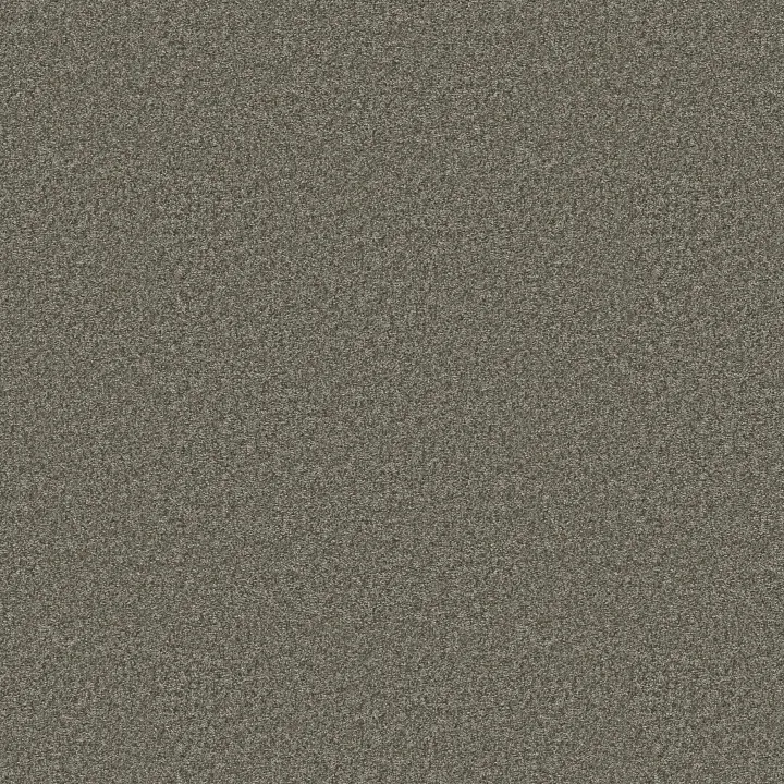 Shaw Floors You Got This II — Rerooted Nature · 5E561-00300 — flooring selection with LeviArs Design & Remodeling