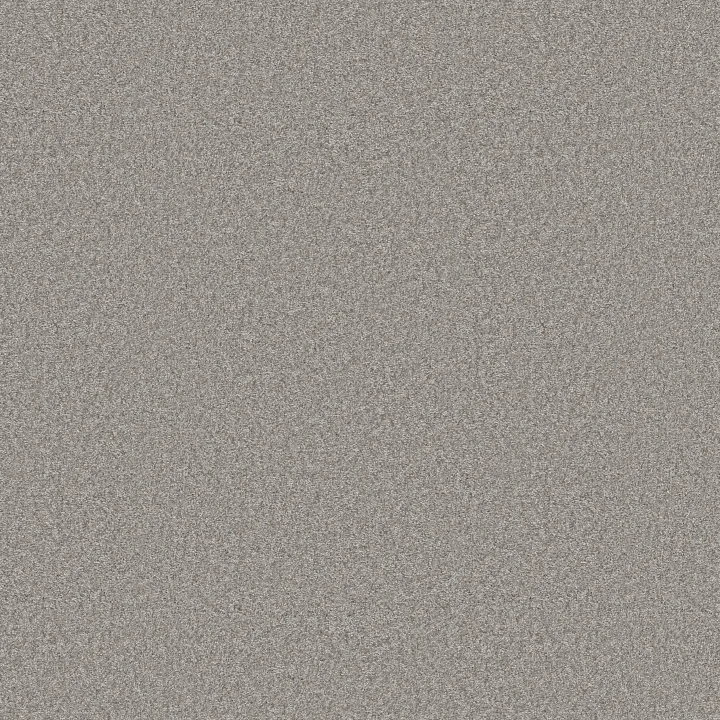 Shaw Floors You Got This II — Rock Crystal · 5E561-00508 — flooring selection with LeviArs Design & Remodeling