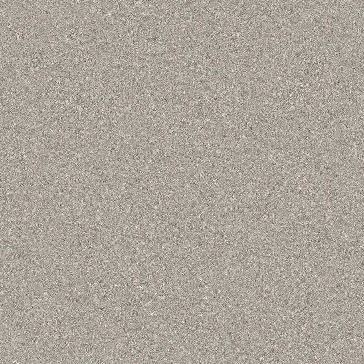 Shaw Floors You Got This II — Sculpture · 5E561-00115 — flooring selection with LeviArs Design & Remodeling
