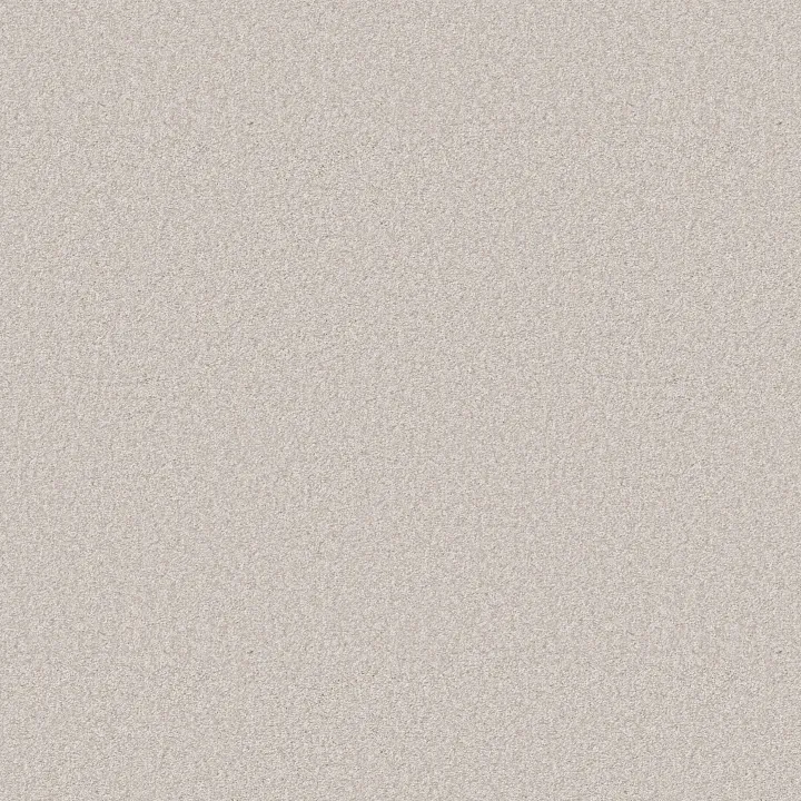 Shaw Floors You Got This II — Snowfall · 5E561-00150 — flooring selection with LeviArs Design & Remodeling