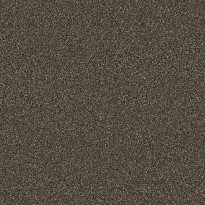 Shaw Floors You Got This II — Urban Rustic · 5E561-00708 — flooring selection with LeviArs Design & Remodeling