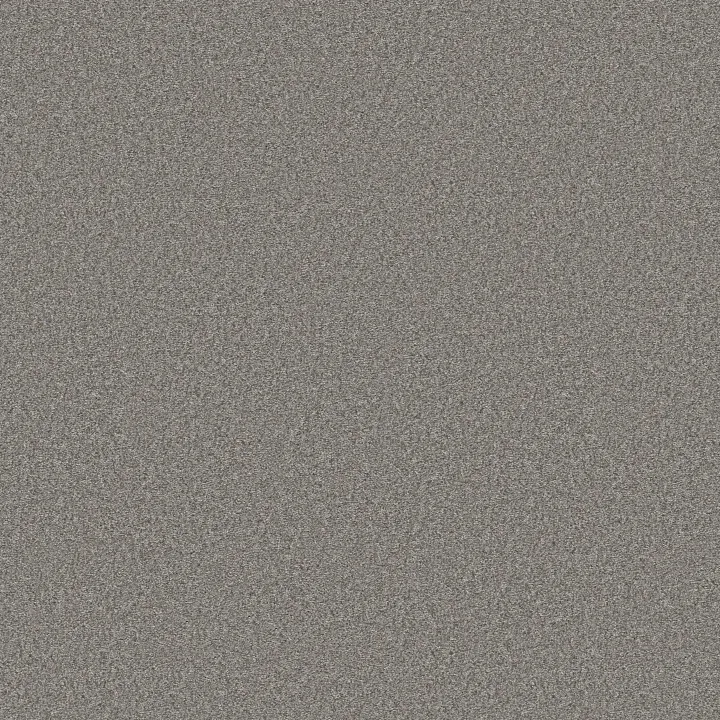 Shaw Floors You Got This II — Vintage · 5E561-00509 — flooring selection with LeviArs Design & Remodeling