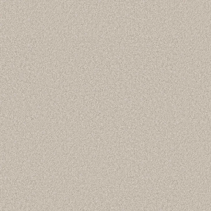 Shaw Floors You Got This II — Warm Light · 5E561-00116 — flooring selection with LeviArs Design & Remodeling