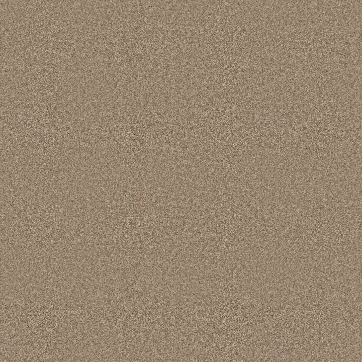 Shaw Floors You Got This II — Worn Path · 5E561-00700 — flooring selection with LeviArs Design & Remodeling