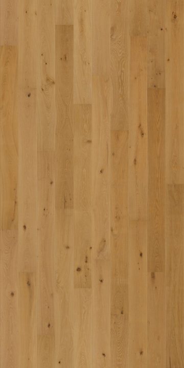Stonewood Stonehenge — Engineered hardwood flooring selection with LeviArs Design & Remodeling