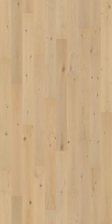 Stonewood Westminster — Engineered hardwood flooring selection with LeviArs Design & Remodeling