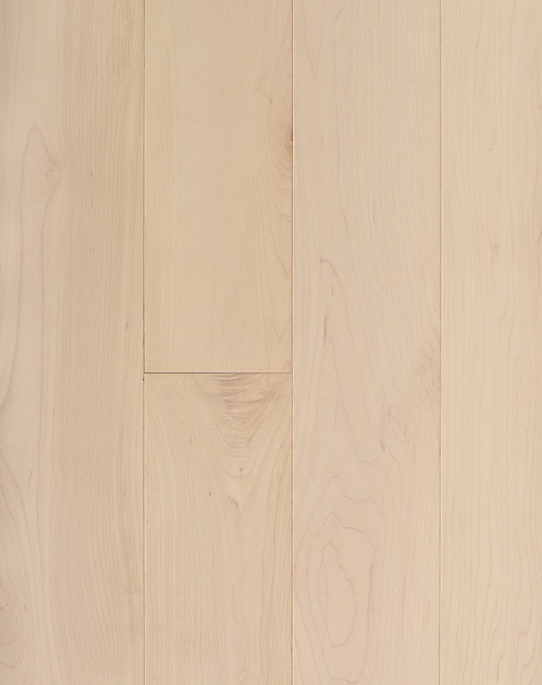 Superior Flooring Ivory · Maple · 3 1/4" · Premier · Smooth Matte — Solid hardwood flooring selection with LeviArs Design & Remodeling