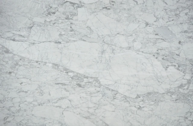 Arizona Tile Arabescato Belgia — Marble & Dolomite Slab material selection with LeviArs Design & Remodeling