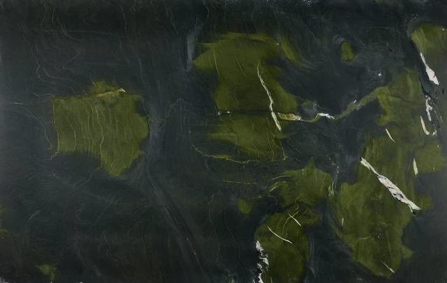 Arizona Tile Avocatus Satin — Granite Slab material selection with LeviArs Design & Remodeling