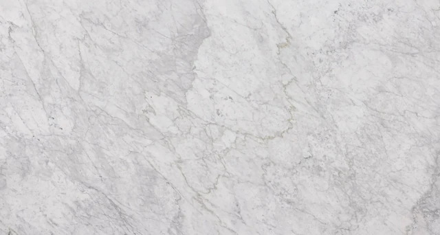 Arizona Tile Bianco Carrara — Marble & Dolomite Slab material selection with LeviArs Design & Remodeling
