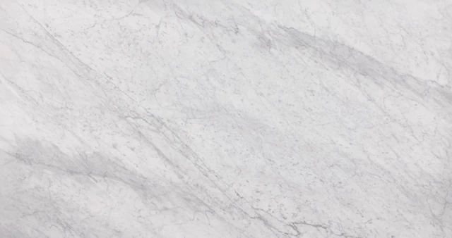 Arizona Tile Bianco Carrara Honed — Marble & Dolomite Slab material selection with LeviArs Design & Remodeling