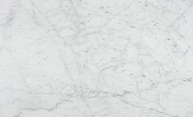 Arizona Tile Bianco Venatino Honed — Marble & Dolomite Slab material selection with LeviArs Design & Remodeling