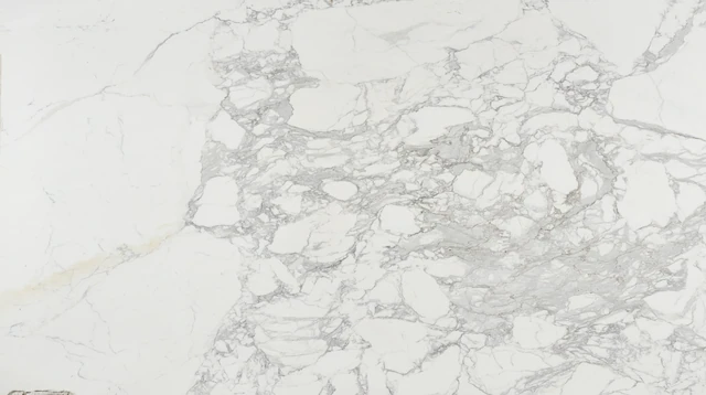 Arizona Tile Calacatta Betogli Extra Honed — Marble & Dolomite Slab material selection with LeviArs Design & Remodeling
