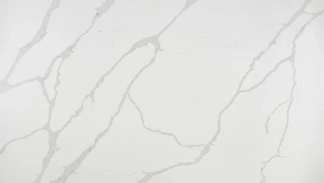 Arizona Tile Calacatta Divine — Della Terra® Quartz Slabs material selection with LeviArs Design & Remodeling