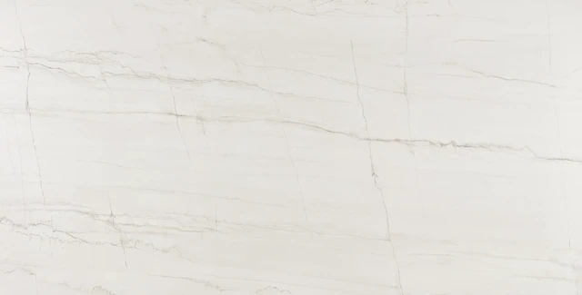 Arizona Tile DT-Mont Blanc Polished — Della Terra® Porcelain Slabs material selection with LeviArs Design & Remodeling
