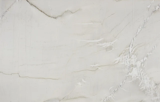 Arizona Tile Mont Blanc — Quartzite Slab material selection with LeviArs Design & Remodeling